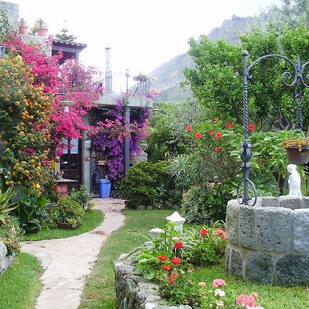 Casa Vacanze Il Pozzo Villa Ischia Island Buitenkant foto