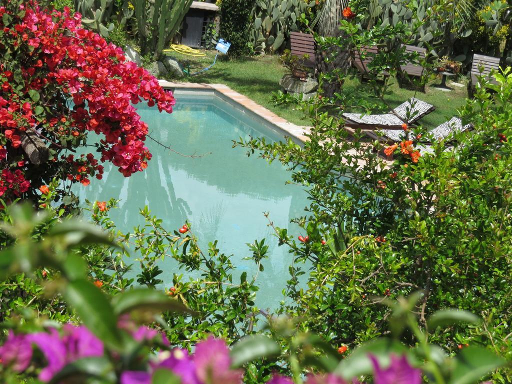 Casa Vacanze Il Pozzo Villa Ischia Island Buitenkant foto
