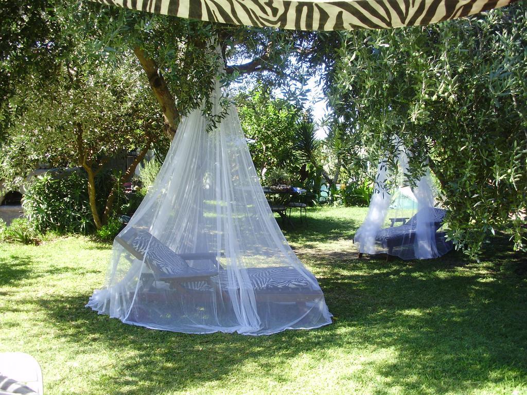 Casa Vacanze Il Pozzo Villa Ischia Island Buitenkant foto