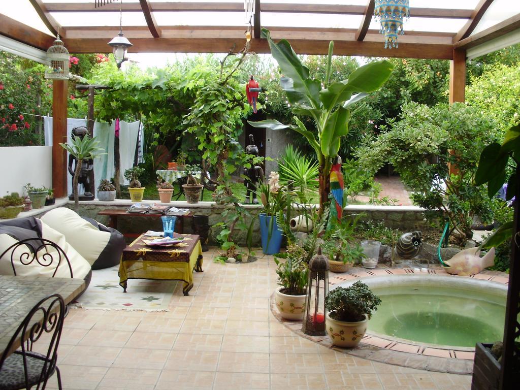 Casa Vacanze Il Pozzo Villa Ischia Island Buitenkant foto