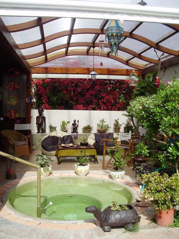 Casa Vacanze Il Pozzo Villa Ischia Island Buitenkant foto