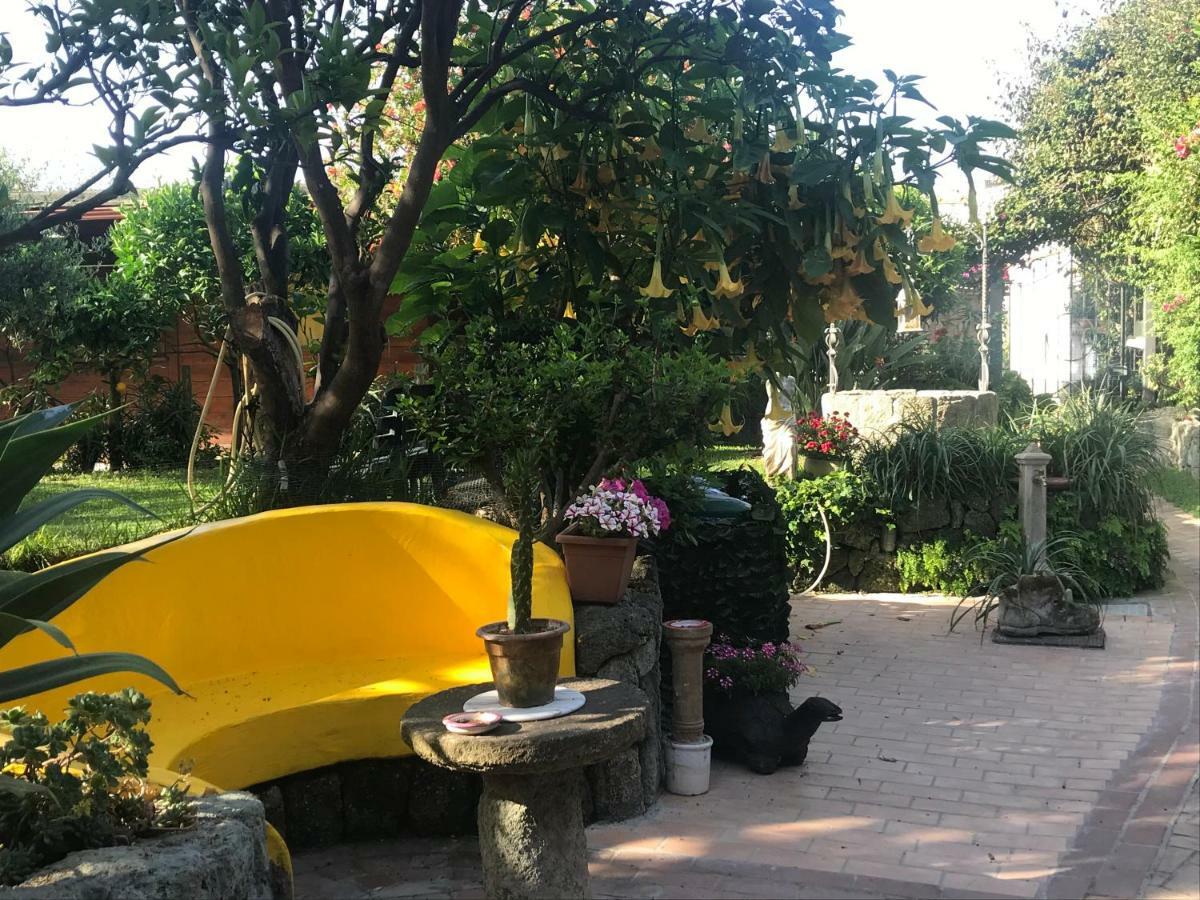 Casa Vacanze Il Pozzo Villa Ischia Island Buitenkant foto