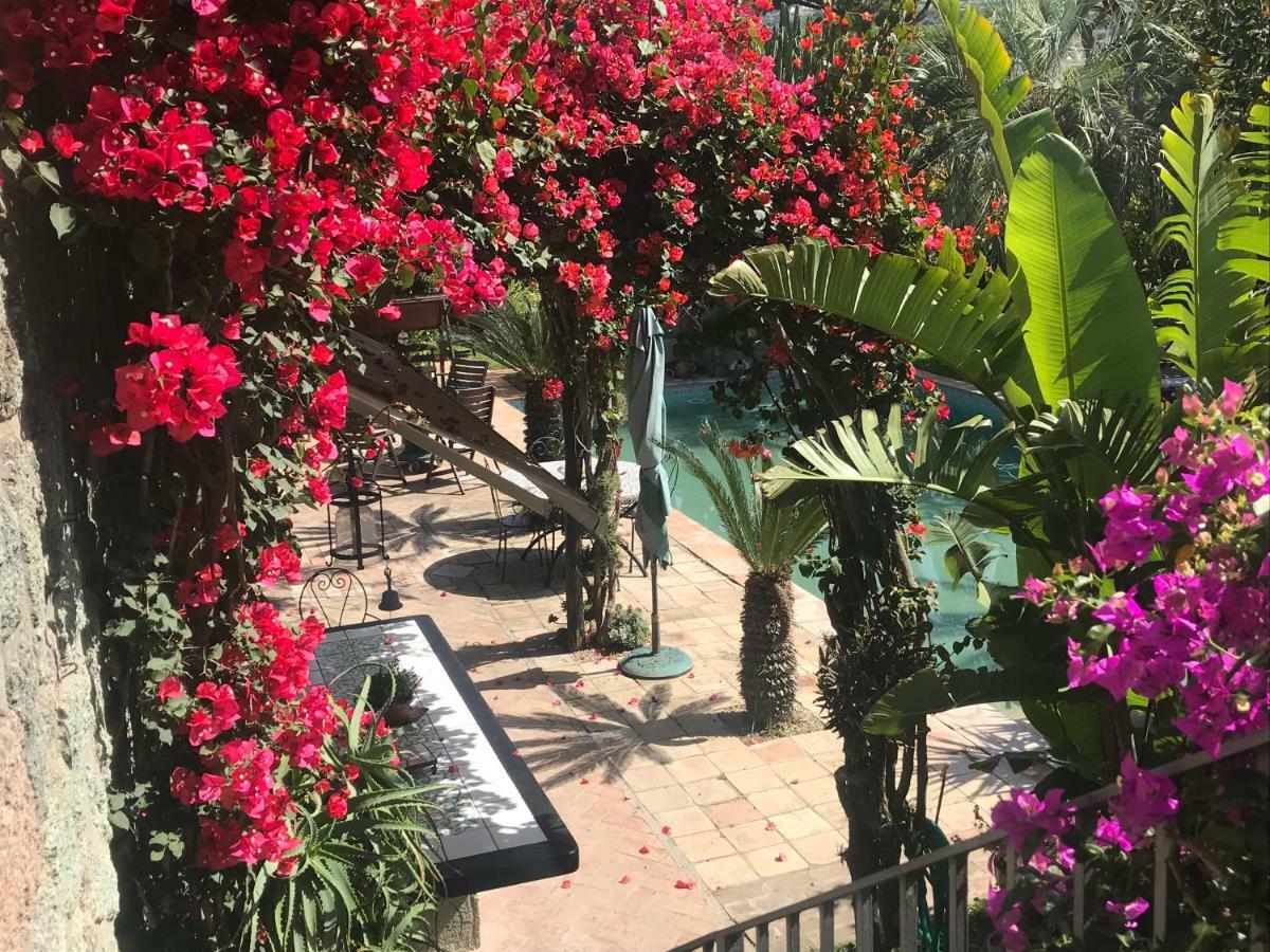 Casa Vacanze Il Pozzo Villa Ischia Island Buitenkant foto